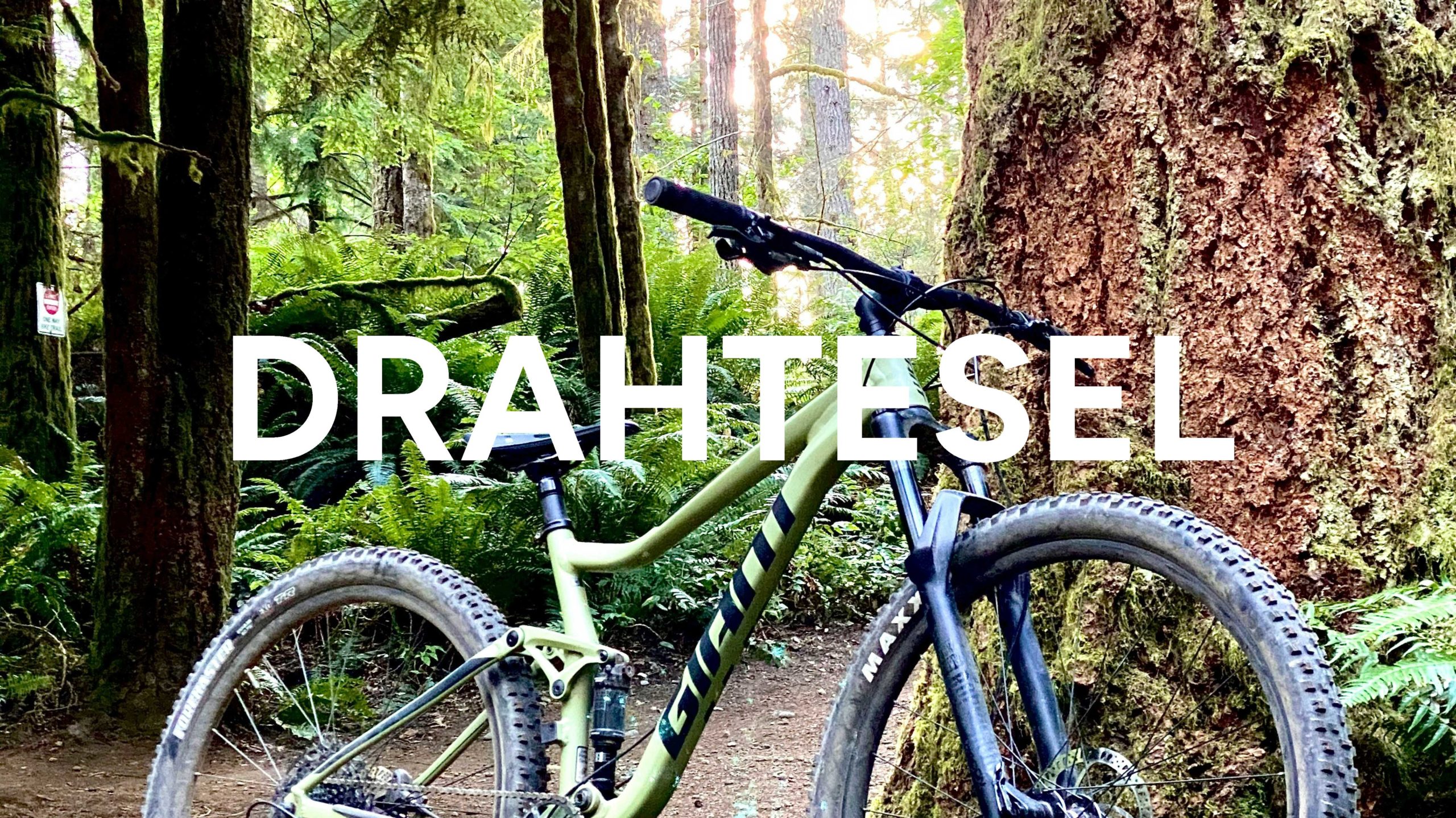 nik-owens-RKU4zSFitWM-unsplash_small