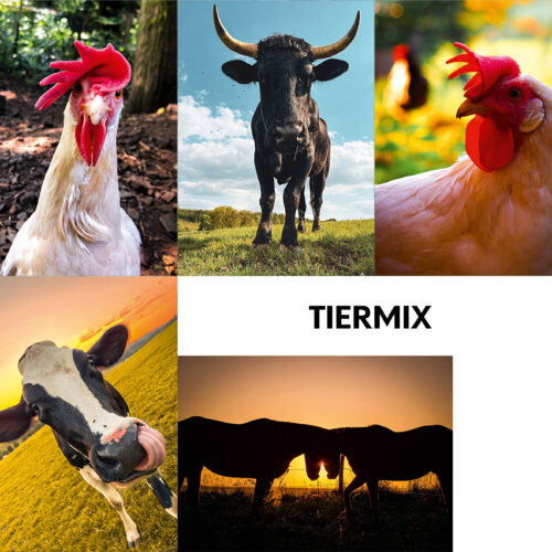 Tiermix
